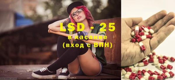 крисы Баксан