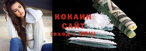 крисы Баксан