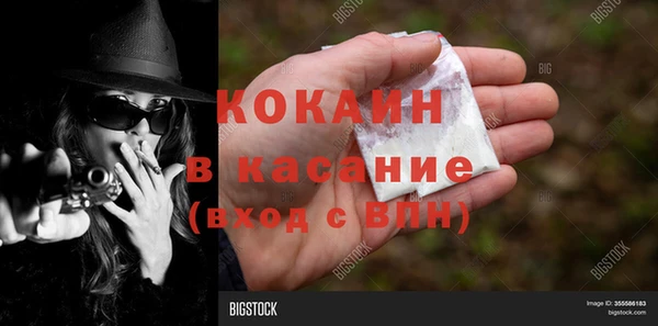 шишки Балабаново