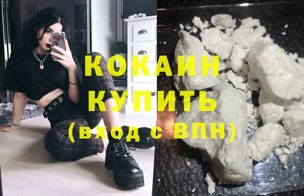 шишки Балабаново