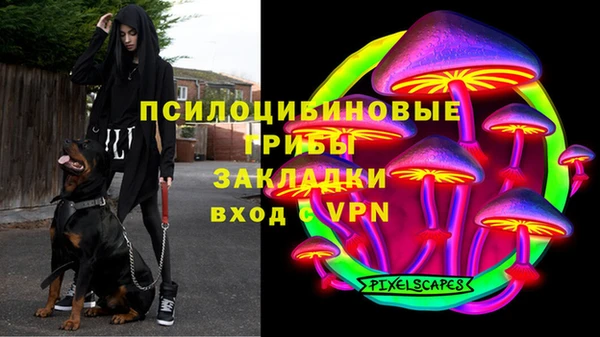 крисы Баксан