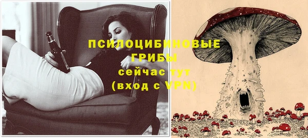 шишки Балабаново