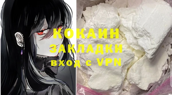 шишки Балабаново
