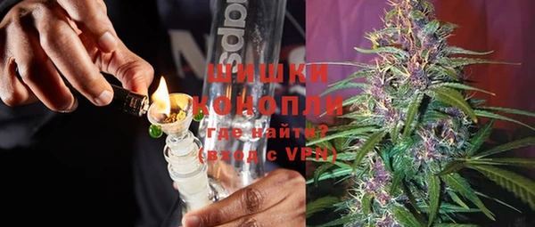крисы Баксан