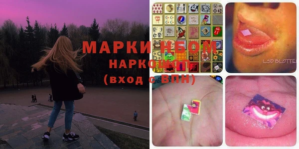 крисы Баксан