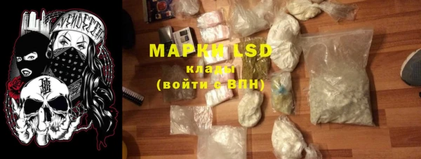 крисы Баксан