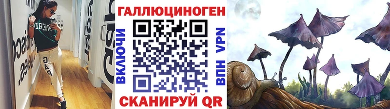 Галлюциногенные грибы прущие грибы  Городище 